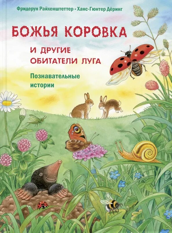 Познавательные рассказы истории. Божья коровка и другие обитатели луга книга. фридерун райхенштеттер познавательные истории. божья коровка и другие обитатели луга познавательные истории. детские книги про божьих коровок.
