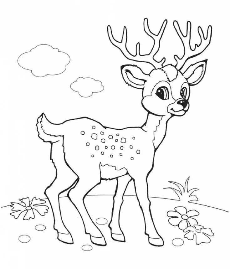 Раскраска животный 5 лет распечатать бесплатно 10 Cute Animals Coloring Pages Disney Coloring Pages Kittens coloring, Zoo anima