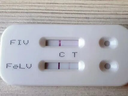 Экспресс тест на лейкоз