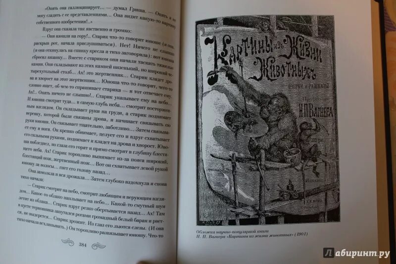 Вагнера книга. Сказки кота мурлыки вагнер сколько страниц. Вагнер сказка краткое содержание. П. Вагнер сказки кота мурлыки книга.