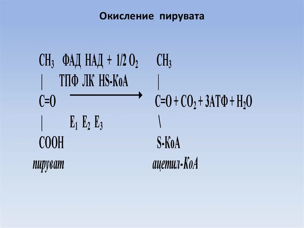 Окисление пирувата. Окислительное окисление пирувата. Реакция окислительного декарбоксилирования пировиноградной кислоты. Окисление пировиноградной кислоты.