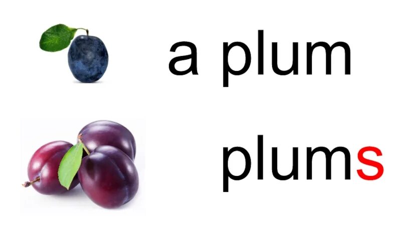 Plum произношение. Транскрипция русская Plum. Как читается Plums. Plum person. Premium plums tg