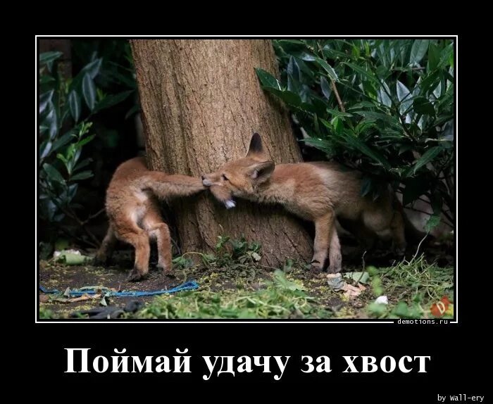 Что значит поймали