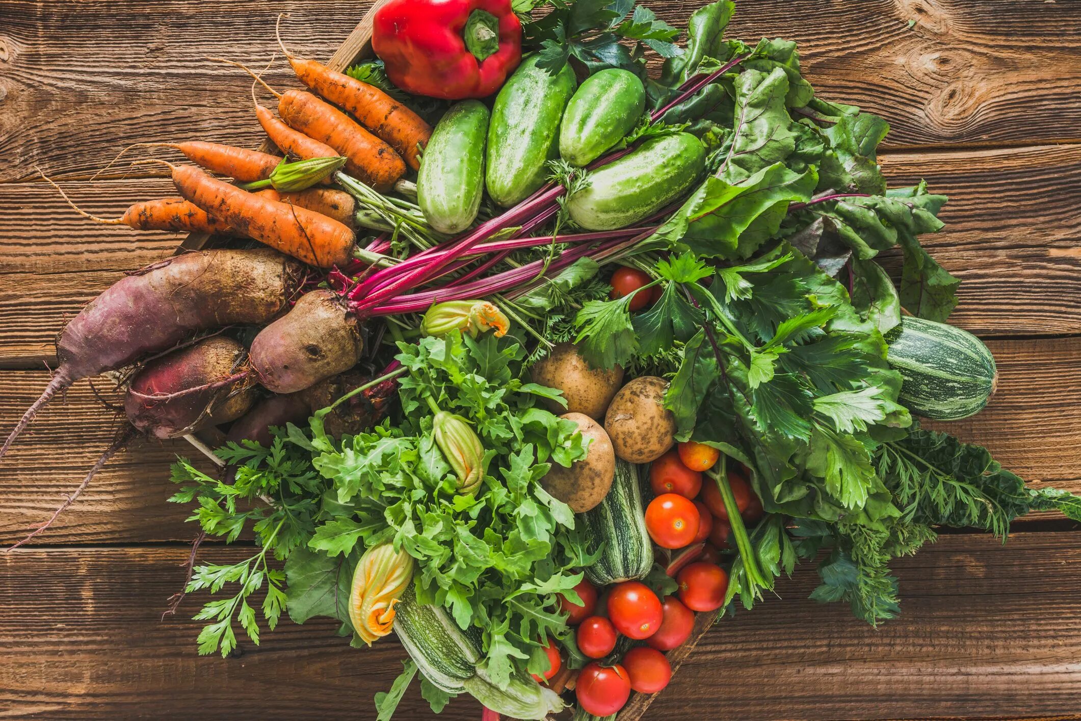 Vegetables предложение. Овощи. Урожай овощей. Овощи на огороде. Овощи открытого грунта.