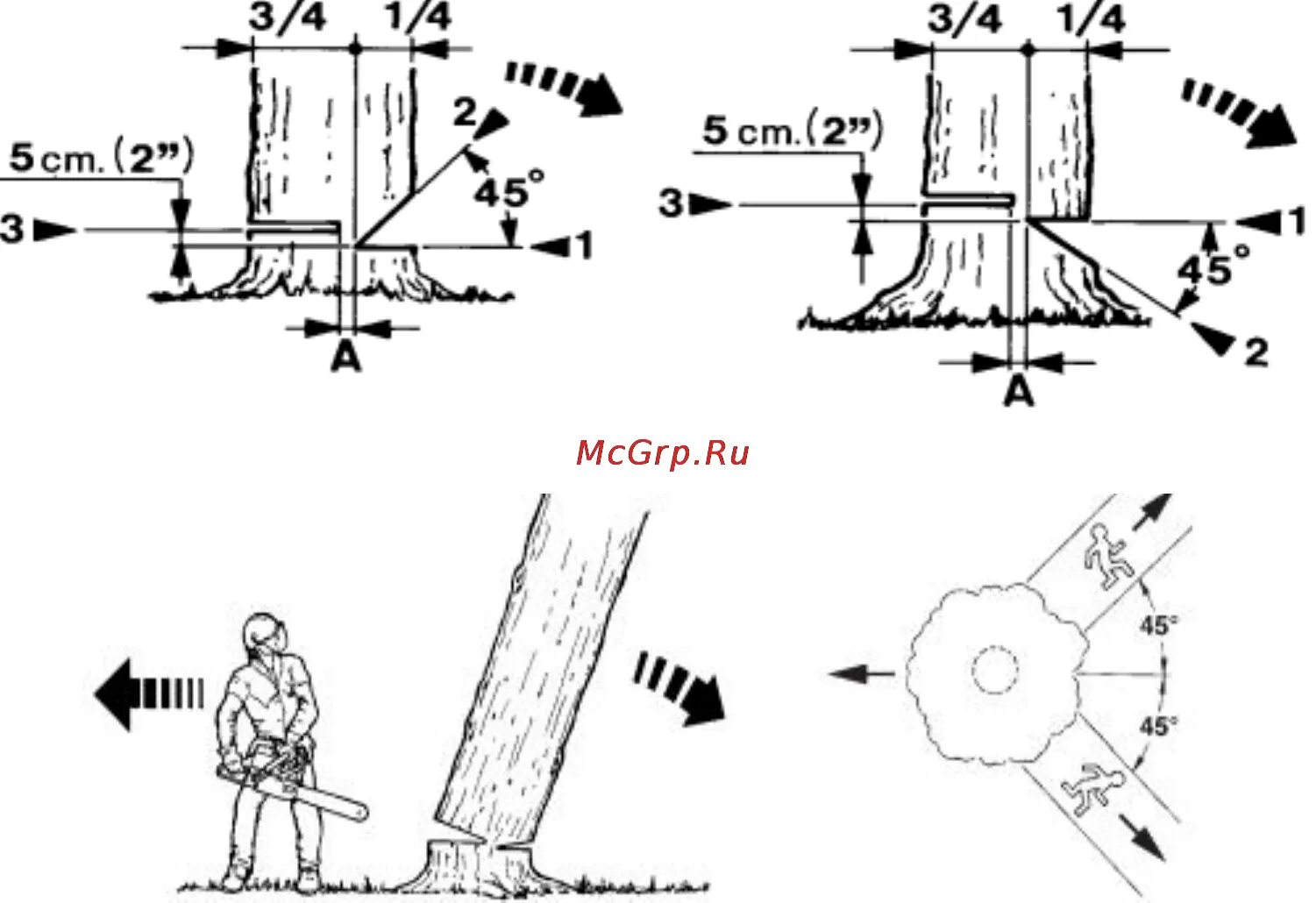 Направить в нужном направлении. Схема спила дерева бензопилой. Технология Валки деревьев бензопилами. Схема Валки дерева бензопилой. Технология Валки леса бензопилой.