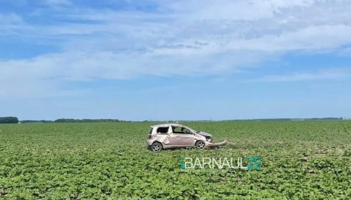 Авария возле Поспелихи. Поля Алтайского края. Авария в Поспелихинском районе.