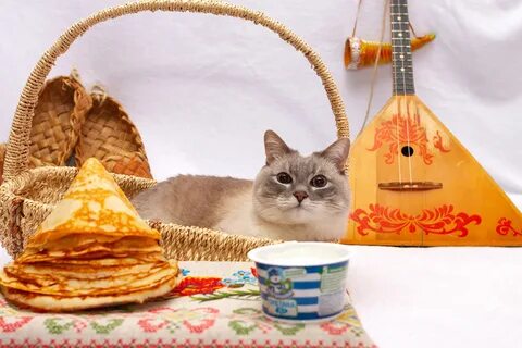 С масленицей картинки с животными