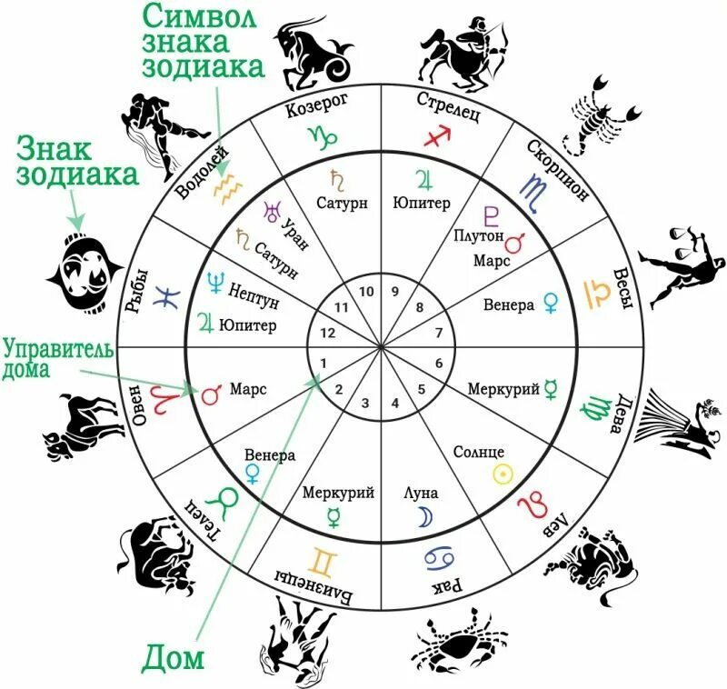 Январь какой год. Гороскоп. Астрологический гороскоп. Карткартта знаков зодиака. Дома гороскопа.