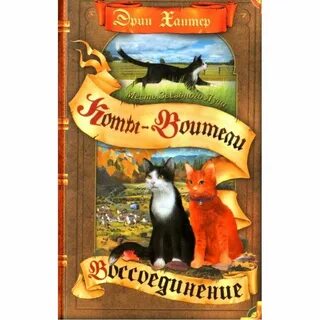 Воссоединение книга