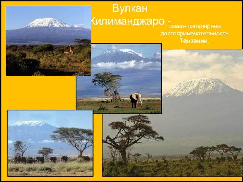 Проект национального парка танзании. Танзания национальные парки вулкан Килиманджаро. Национальный парк в Танзании буклет. Национальный парк в Танзании проект по географии 7 класс. Рекламная брошюра национального парка в Танзании.