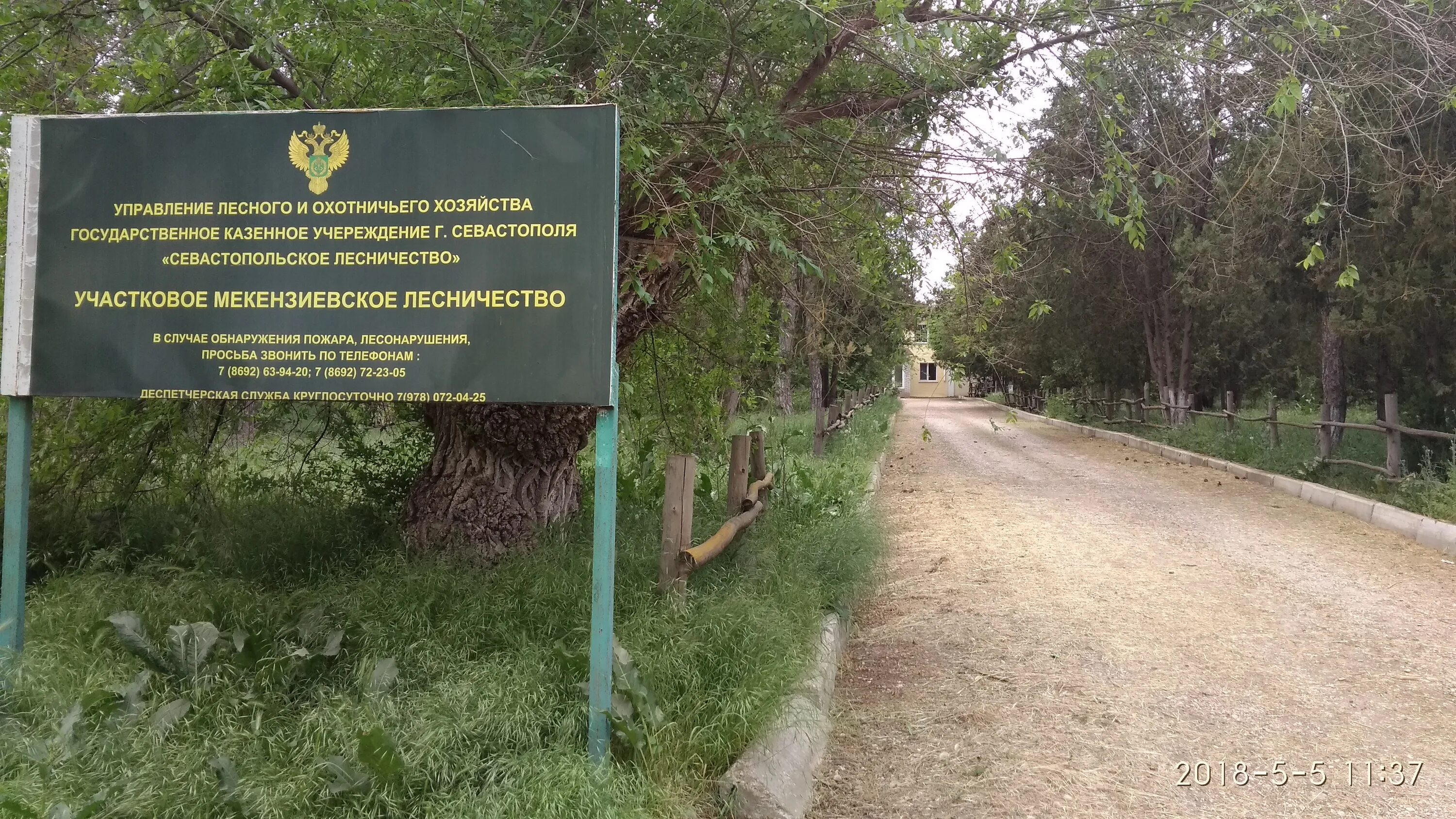 директор лесхоз севастополь. гау севастопольский лесхоз. лесное хозяйство севастополь. гау севастопольский лесхоз. лесное хозяйство севастополь.