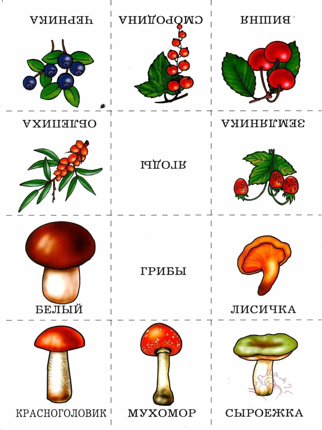 Карточки для детей по группам. Группы предметов для детей карточки. Классификация предметов для детей. Обобщающие понятия карточки.