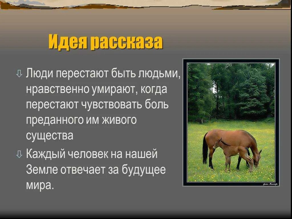 Краткое содержание рассказа о чем плачут лошади. "О чем плачут лошади в рассказе ф.Абрамова?". Фёдор Александрович Абрамов о чём плачут лошади. О чём плачут лошади. Рассказ Абрамова о чем плачут лошади.