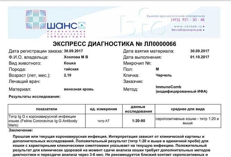 Как подготовиться коронавирусу