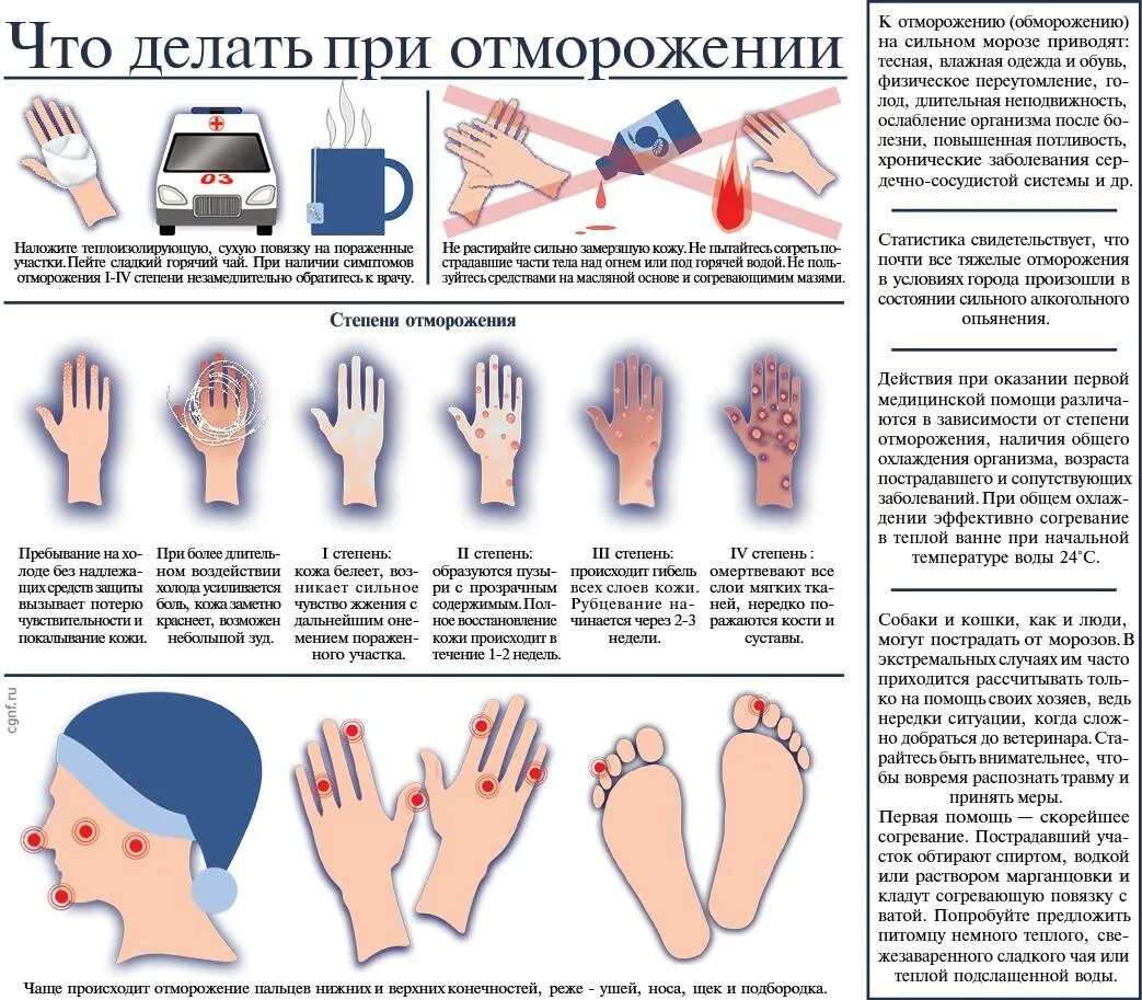 Помощь при обморожениях реферат. Первая помощь при отморожении конечности. что дела ь при обморожении рук. что девлит при обморожении рук.