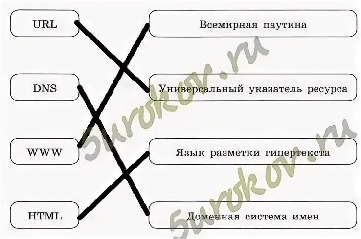 Слова связанные с сетью
