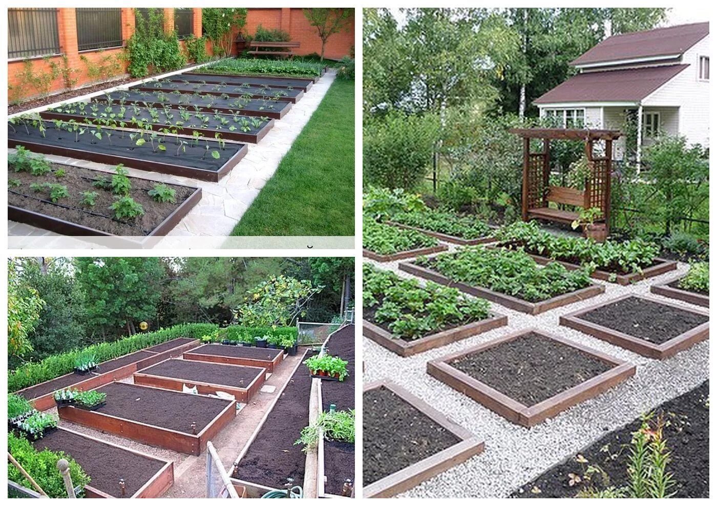 40 Stunning Vegetable Garden Design Ideas Perfect For Beginners Vegetable garden