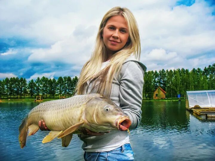 Золотой сазан симферопольское шоссе 41 км. Золотой сазан подольск. Золотой сазан симферопольское шоссе 41 км. Рыбалка золотой сазан калужское шоссе. Костромская рыба.