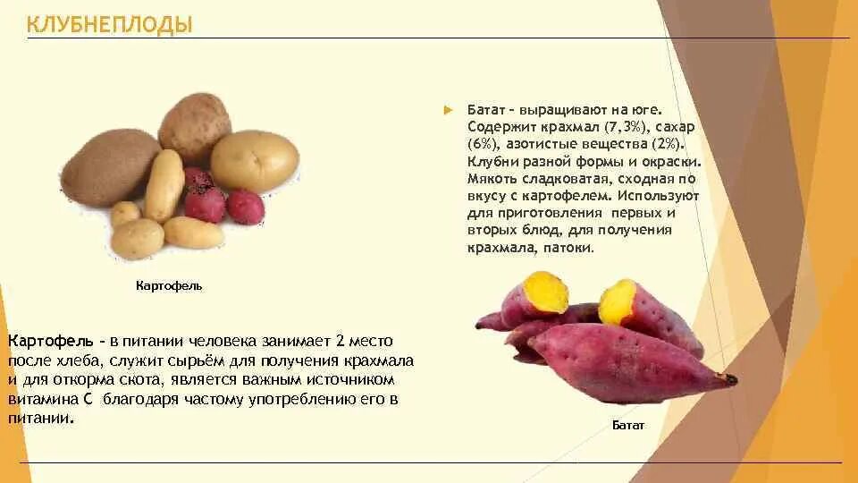 Полезные свойства батата