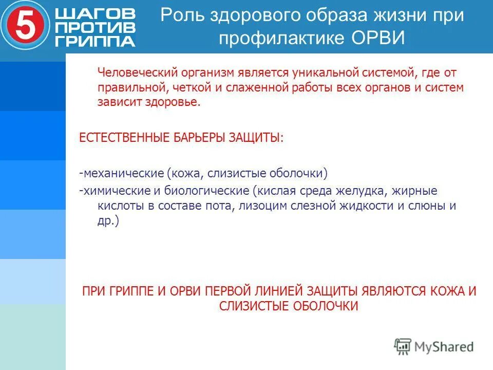 Программу 5 шагов. Программу 5 шагов