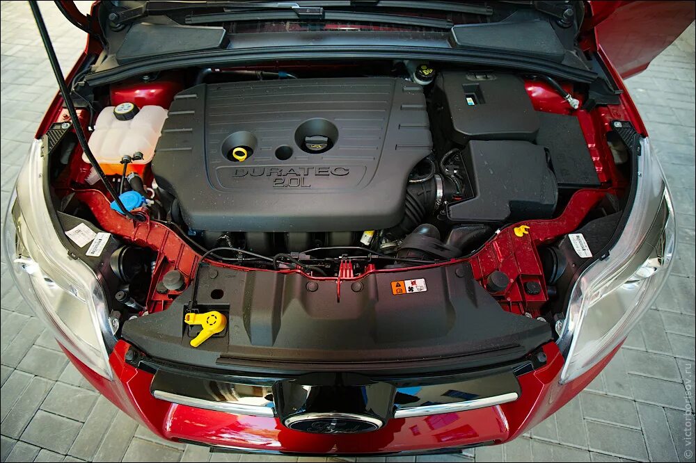 Ford focus где находится номер двигателя Fufel