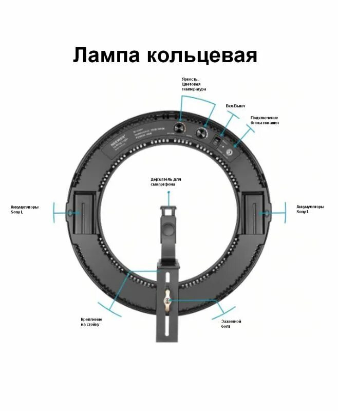 Кольцевая конструкция. Кольцевая лампа светодиодная Размеры. Устройство кольцевой светодиодной лампы. Кольцевая светодиодная лампа подключение. Из чего состоит Кольцевая лампа.