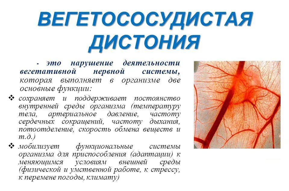 Диагноз нервное расстройство. Вегетососудистая дистония симптомы. Вегетососудистая дистония клиника симптомы. Вегетососудистаядистания. Венето сосудистая дистания.