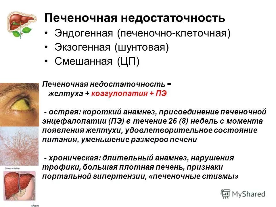 Печеночная недостаточность при циррозе. Печеночнаямнедостаточность. Сестринский процесс при печеночной недостаточности. Печеночно-клеточная недостаточность классификация. Механизм развития острой печеночной энцефалопатии.