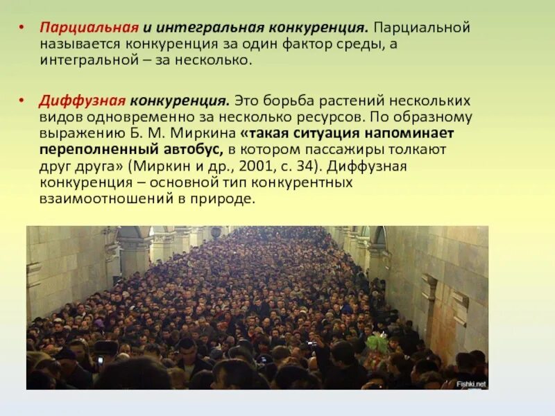 Диффузная среда. Диффузная конкуренция. диффузная конкуренция в экологии. диффузная конкуренция пример. диффузная конкуренция в экологии примеры.