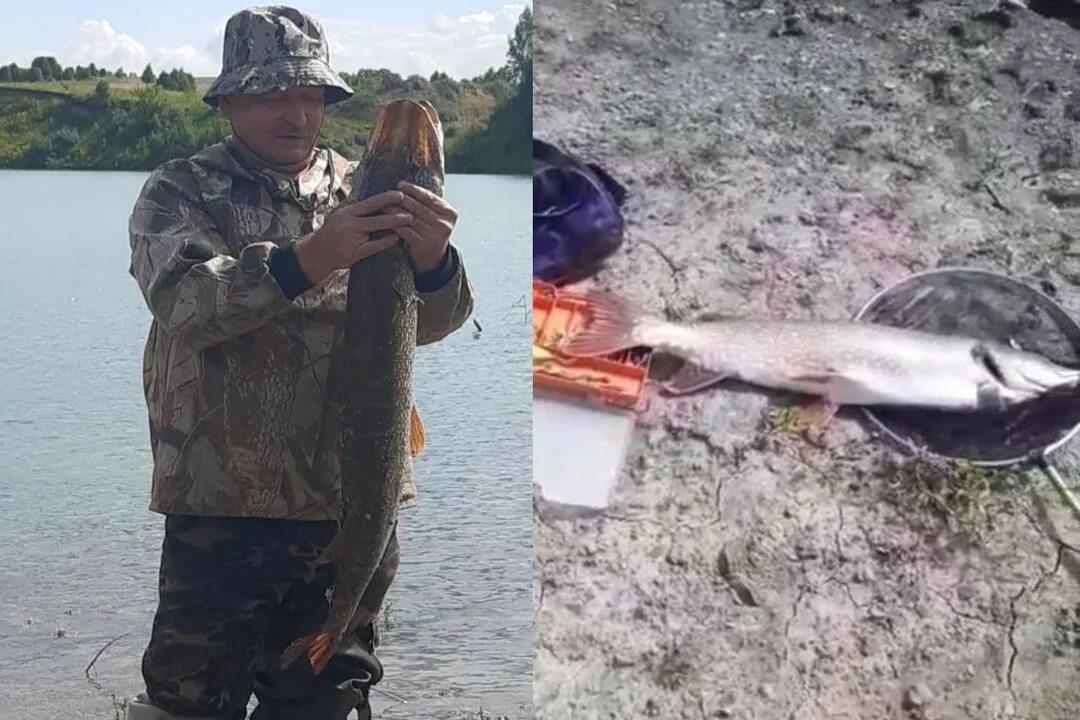 Карп. Рыба на крючке. Ловите поймал. Бас рыба. Щука в лодке.