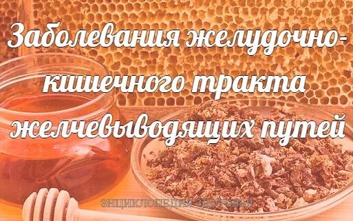 Прополис при заболевании желудочно-кишечного тракта. Прополис при желудочно кишечных болезнях. Настойка прополиса с облепиховым маслом. Настойка прополиса при нарушениях ЖКТ. Облепиховое масло при панкреатите