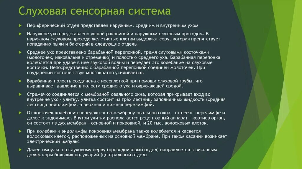 Возрастные особенности слуховой сенсорной системы. Слуховая и вестибулярная сенсорные системы физиология. Слуховая сенсорная система строение и функции. Функции сенсорной системы слуха.