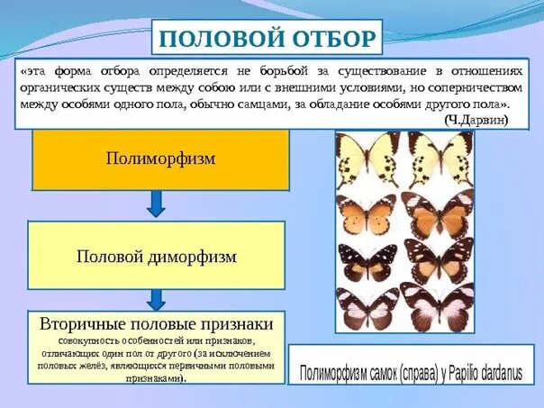 Какую форму отбора иллюстрирует данный рисунок. Формы полового отбора. Половой отбор биология. Формы естественного отбора. Теория полового отбора.