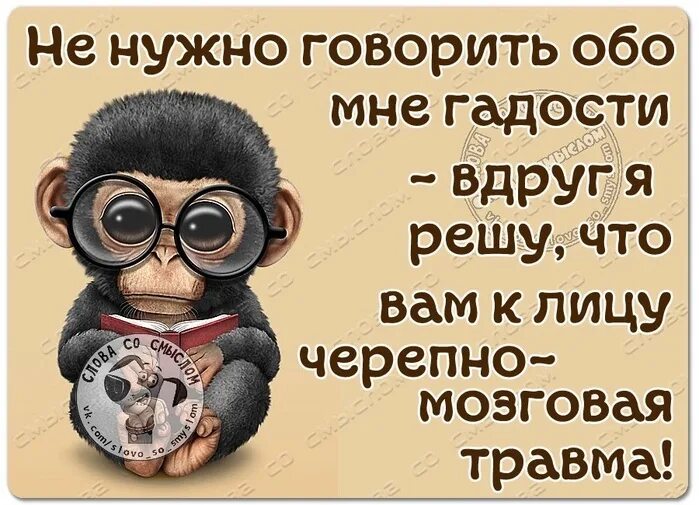 Коротко обо всем с юмором. Цитаты про людей которые говорят гадости. Если человек говорит гадости. Если говорят вам гадости. Говорю гадости ребенку