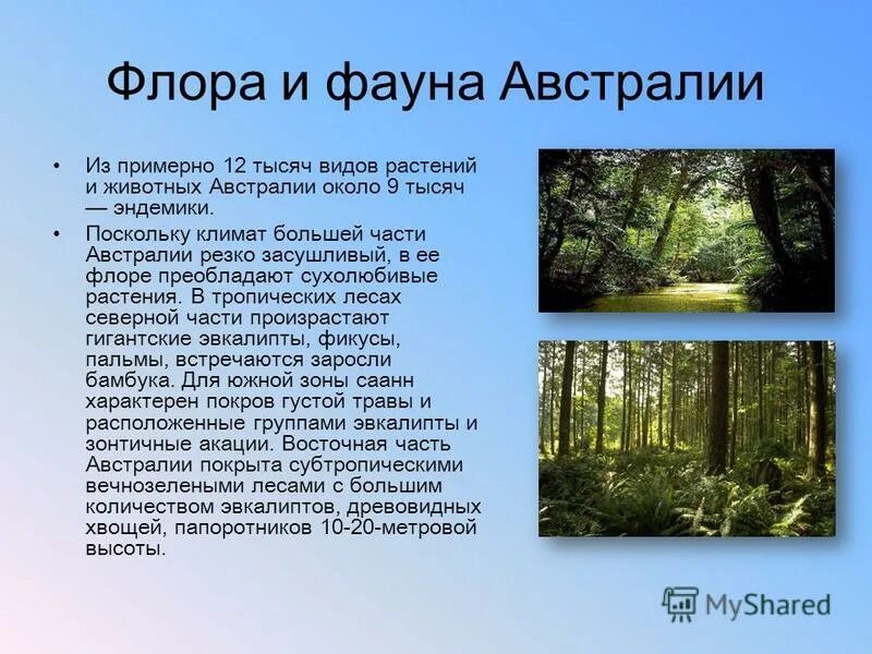 Растительность австралии. Растительный мир австралии. Растения в австралии 7 класс. Эндемики австралии растения. Особенности растительности австралии.