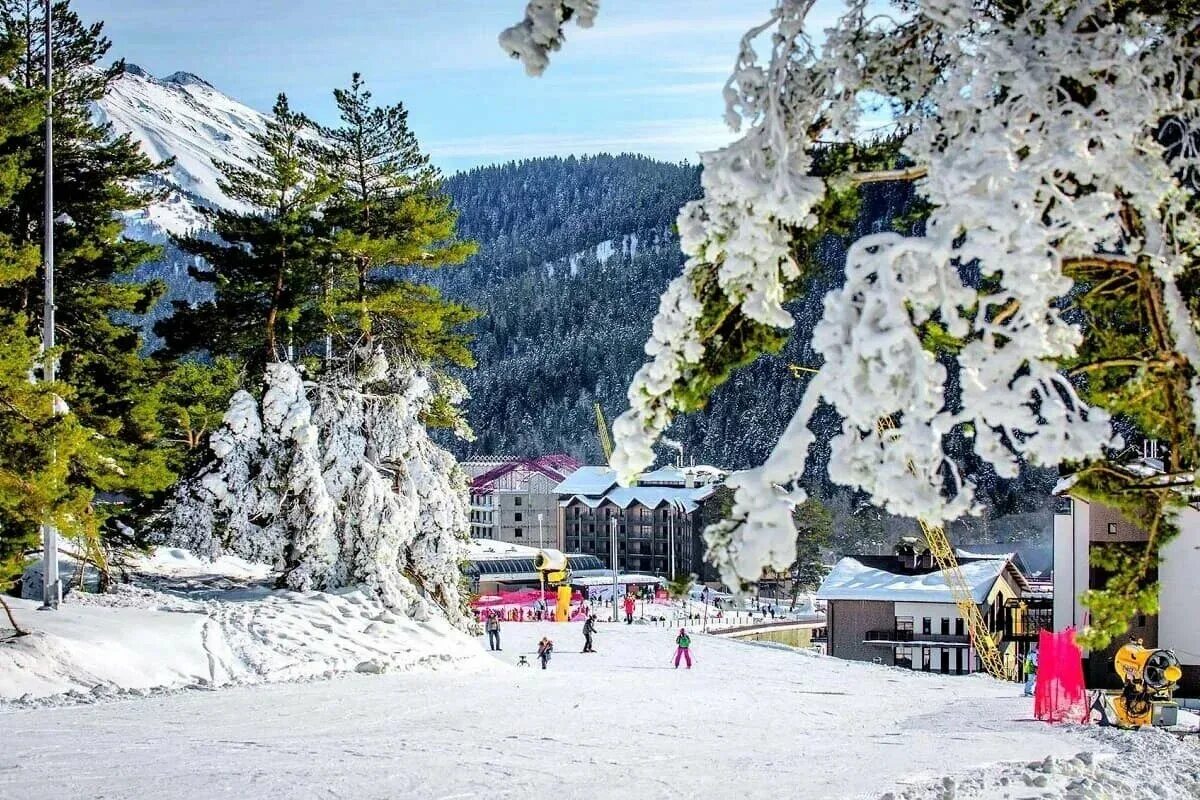 Сочи парк новый год 2021. Геленджик центральная площадь елка 2021 год. Сочи парк 2021. Геленджикская елка 2020. Архыз 2020.