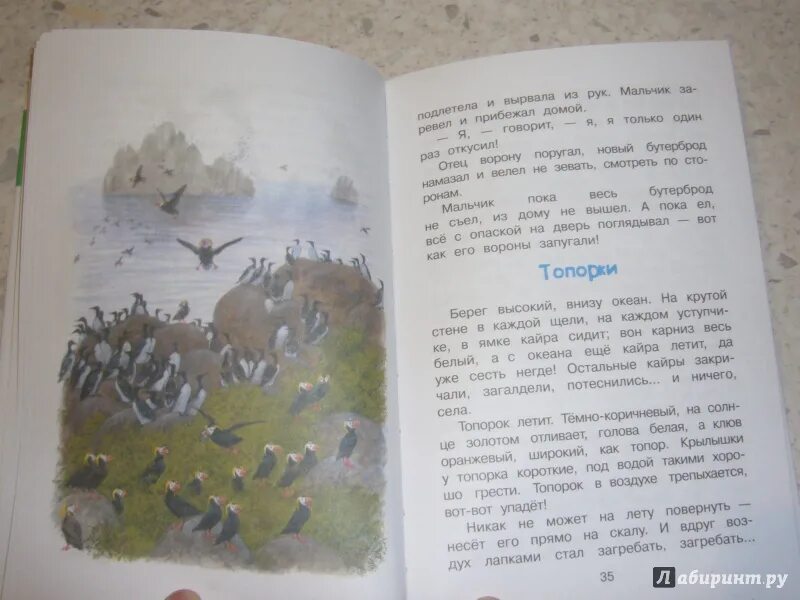 Рассказы о природе Снегирев. Рассказ Ласточка г Снегирев. Картинки Снегирев рассказы о природе. Рассказ о природе г.я.Снегирёв.. Снегирев рассказы текст