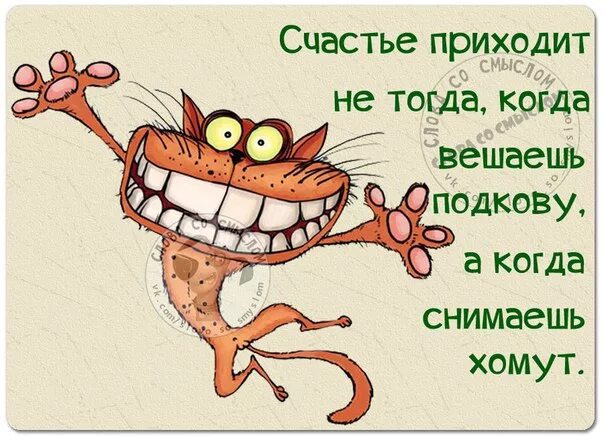 Минус счастье пришло. Счастье приходит неожиданно. Счастье придет. Счастье не приходит. Счастье пришло картинки.