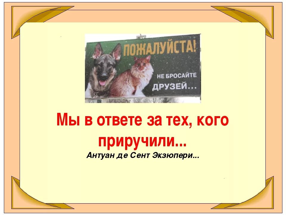 В. Мы в ответ за тех кого пррумл. Мы в ответе кого приручили. Выражение мы в ответе кого приручили. Выражение мы в ответе кого приручили.