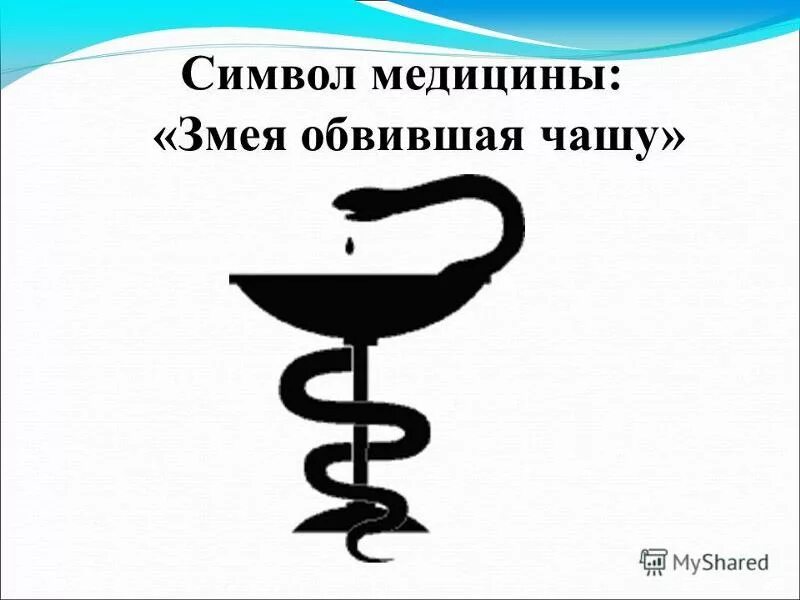 Символ медицины. Медицинский символ змея. Символ медицины чаша со змеей. Символ медицины змея обвивающая чашу.