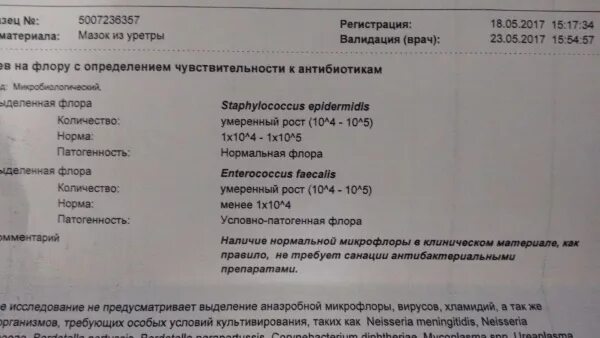 Стрептококк в мазке при беременности 3 триместр. Enterococcus faecalis норма в посеве. enterococcus faecalis в мазке у беременных норма. enterococcus faecalis при беременности норма. энтерококк фекальный в моче норма.