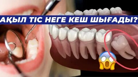 Пискаға тіс тазалағышты қалай салуға болады