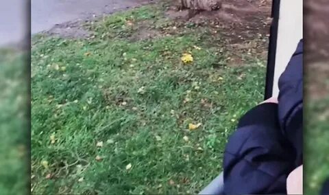 Очевидцы подтвердили