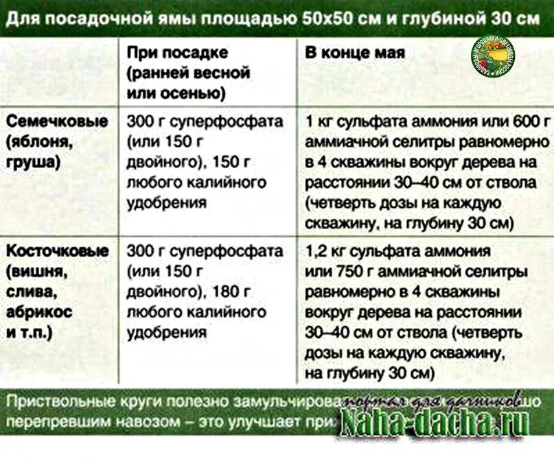 Какие удобрения вносить при посадке картофеля. Таблица подкормки плодовых деревьев и кустарников весной. таблица весенней подкормки плодовых деревьев. схема удобрения яблонь. таблица подкормки деревьев весной.