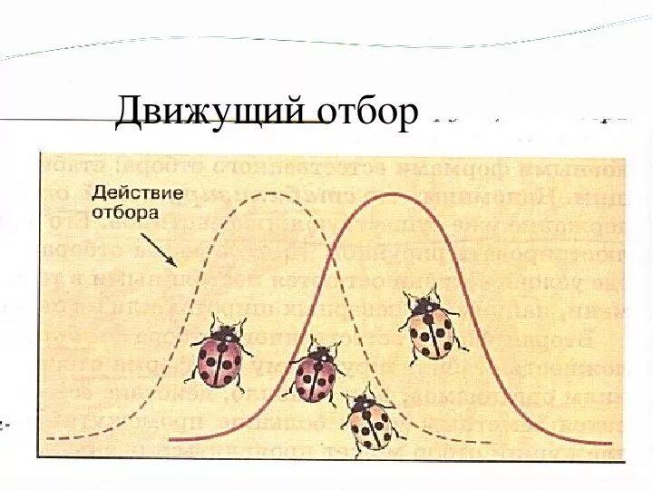 Какую форму отбора иллюстрирует данный рисунок. Движущая форма естественного отбора. Движущий отбор график. Естественный отбор схема. Движущий отбор схема.