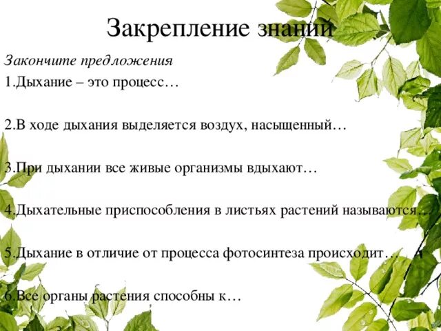 Приспособления для дыхания у растений. Лист дыхательные приспособления. Дыхание листа. Что происходит в листьях при дыхании.