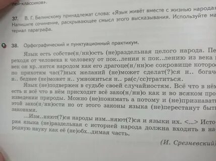 Сочинение на тему язык живой как жизнь