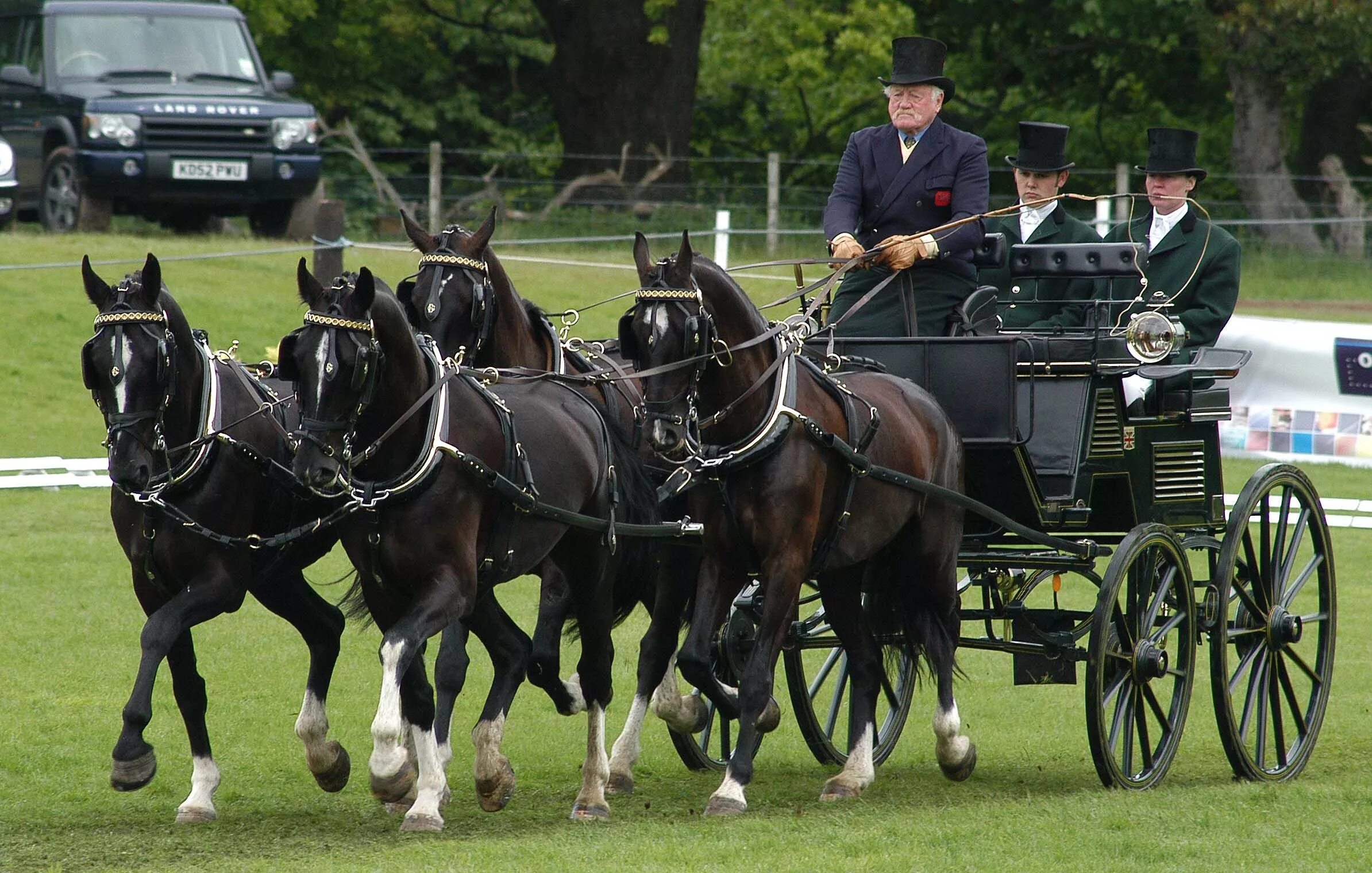 Driving horse