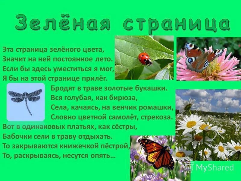 зеленые страницы красной книги россии. зеленые страницы красной книги растения. зеленые страницы тема сообщения. страница зеленого цвета стихотворение. виды животных из зеленой книги.