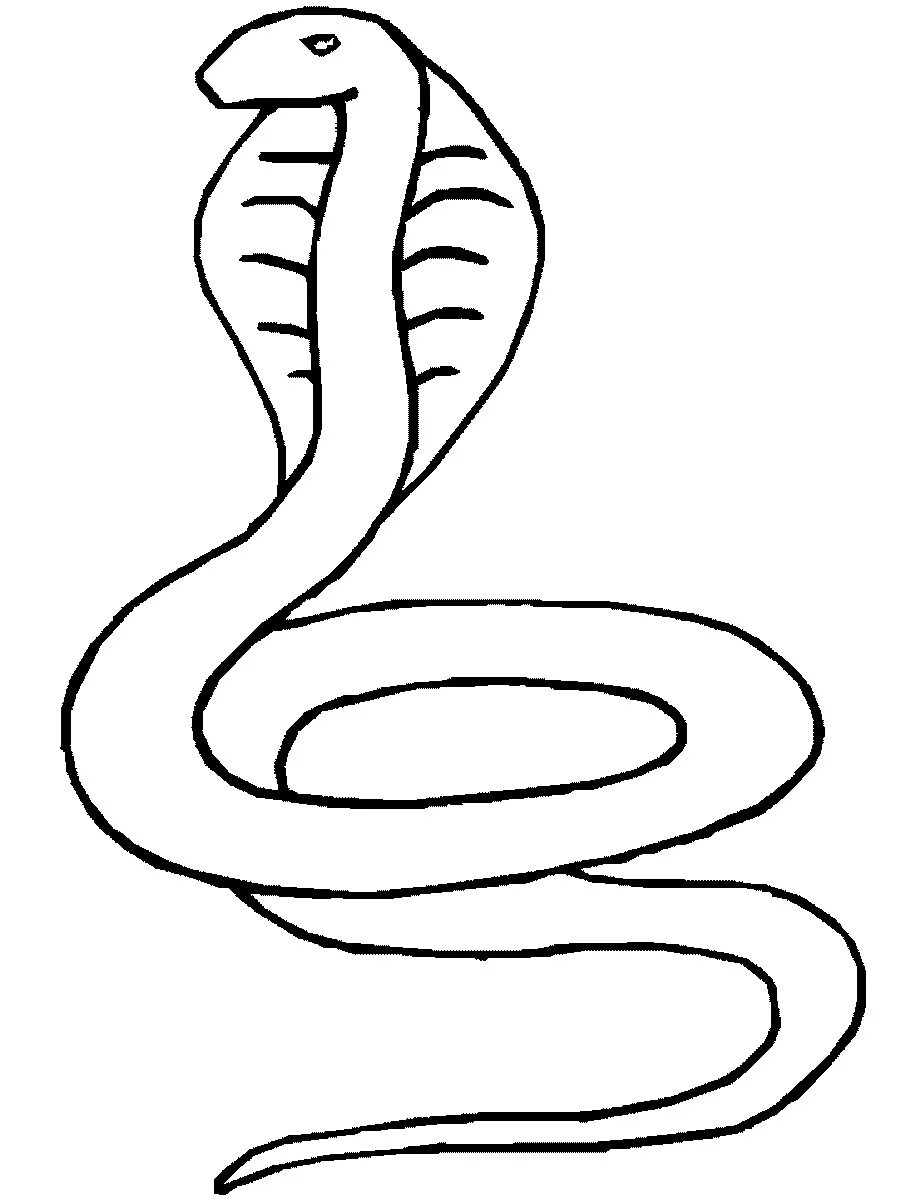 Простая змейка. Змеи для срисовки. Рисунок змеи для срисовки. Картинки для срисовки змея. Рисунки змей для срисовки.